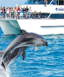 Tour du lịch New Zealand - ĐẢO BẮC 6N5Đ | Thành phố Auckland - Hamilton - Taupo - Rotorua - Matamata / Phim trường Hobbiton