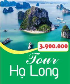 Tour Hạ Long 3 ngày 2 đêm