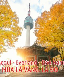 Tour du lịch Hàn Quốc 5N4Đ: Seoul - Everland - Đảo Nami (TRỌN GÓI MÙA LÁ ĐỎ)