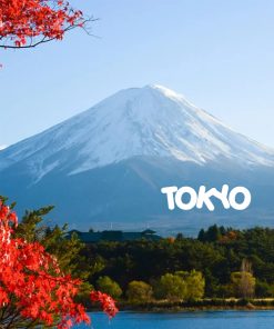 TOUR NAGOYA - OSAKA - KYOTO - NÚI PHÚ SĨ - TOKYO